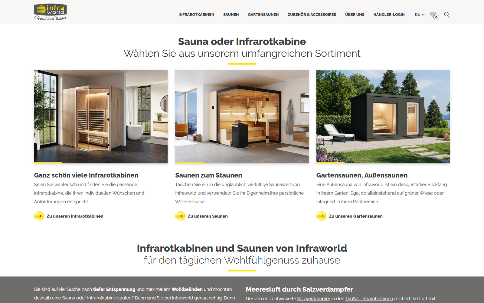 Aktueller Screenshot der Website von TPI Infraworld